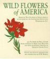 Tiny Folio: Wild Flowers of America
