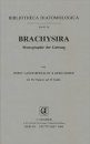Bibliotheca Diatomologica, Volume 29: Brachysira [German]