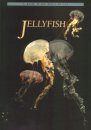 A Guide to the World of the Jellyfish
