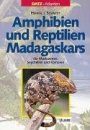 Amphibien und Reptilien Madagaskars