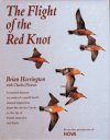 The Flight of the Red Knot