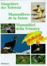 Säugetiere der Schweiz / Mammifères de la Suisse / Mammiferi della Svizzera