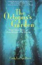 The Octopus's Garden