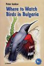 Where to Watch Birds in Bulgaria