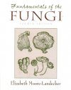 Fundamentals of the Fungi