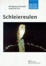 Schleiereulen (Barn Owl)