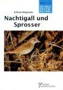Nachtigall und Sprosser (Nightingale and Thrush Nightingale)