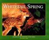 Whitetail Spring