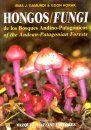 Fungi of the Andean-Patagonian Forests / Hongos de los Bosques Andino-Patagonicos