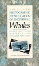A Guide to the Photographic Identification of Whales