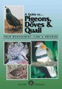 A Guide to Pigeons, Doves and Quails