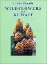 Wildflowers of Kuwait