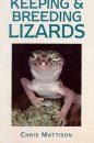 Keeping and Breeding Lizards
