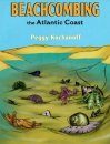 An Introduction to Beachcombing the Atlantic Coast