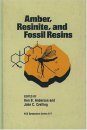 Amber, Resinite and Fossil Resins