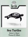 Carving Sea Life: Sea Turtles