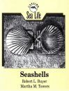 Carving Sea Life: Seashells