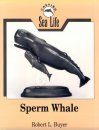 Carving Sea Life: Sperm Whale