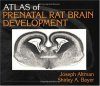 Atlas of Prenatal Rat Brain Development