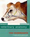 Colour Atlas of Veterinary Anatomy, Volume 1: Ruminants