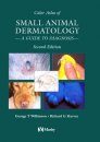 Color Atlas of Small Animal Dermatology