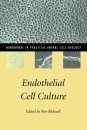 Endolethial Cell Culture