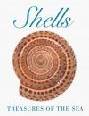 Shells: Treasures of the Sea