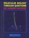 Molecular Biology Through Questions