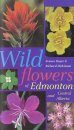 Wildflowers of Edmonton and Central Alberta