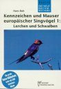 Kennzeichen und Mauser Europäischer Singvögel, Band 1: Lerchen und Schwalden