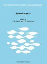 Saline Lakes IV