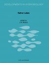 Saline Lakes III