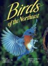 Birds of the Northeast