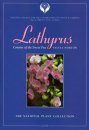 Lathyrus: Cousins of the Sweet Pea