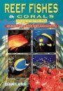 Reef Fishes and Corals