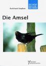 Die Amsel (Blackbird)