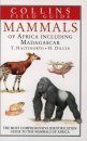 A Field Guide to the Mammals of Africa