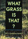 What Grass is That?