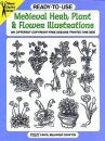 Ready-to-use Medieval Herb, Plant and Flower Illustrations