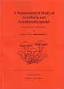 Synopsis Fungorum, Volume 8: A Nomenclatural Study of Armillaria and Armillariella Species (Basidiomycotina, Tricholomataceae)