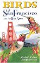 Birds of San Francisco
