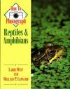 How to Photograph Reptiles and Amphibians