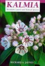 Kalmia: Mountain Laurel and Related Species