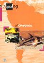 All Corydoras [English / German]