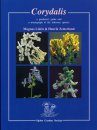 Corydalis: A Gardener's Guide and a Monograph of the Tuberous Species