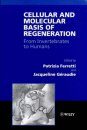 Cellular and Molecular Basis of Regeneration