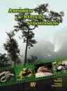 Amphibien und Reptilien Sudostasiens