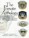 Primate Anthology: Essays on Primate Behaviour, Ecology and Conservation from Natural History