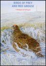Birds of Prey and Red Grouse