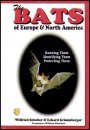 The Bats of Europe and North America
